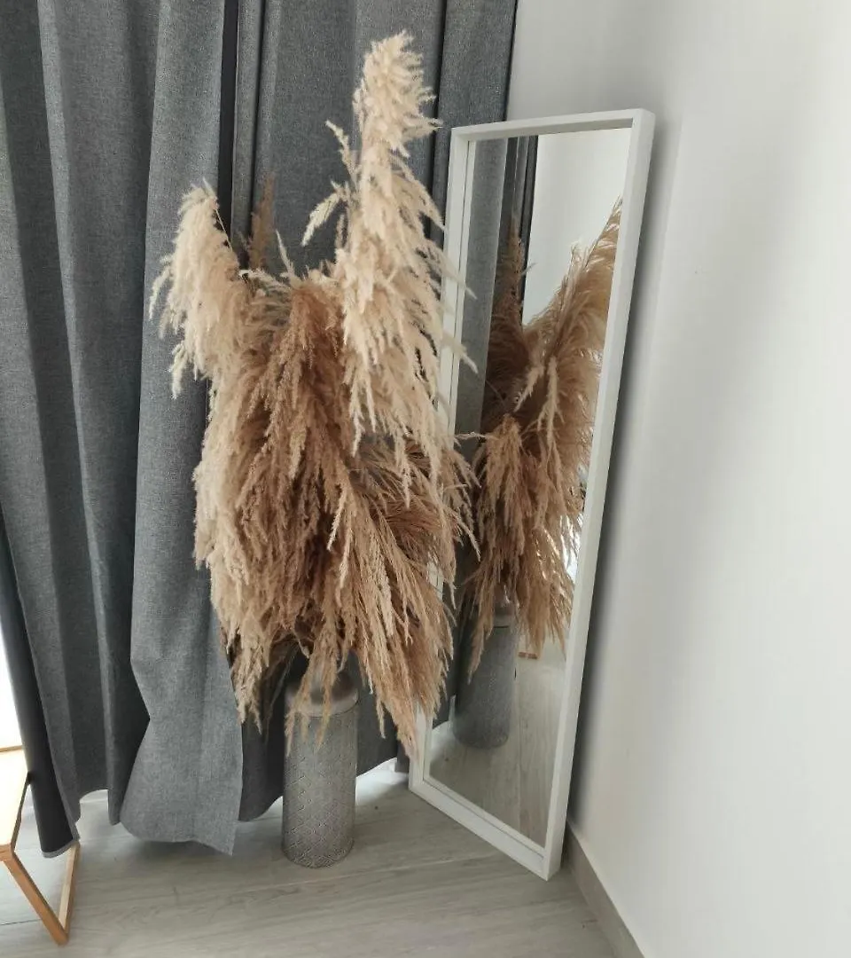 Appartement Apartamento Comodo En Punta Cana République dominicaine